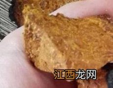 桦树泪泡水有什么功效 桦树泪泡水有什么功效副作用