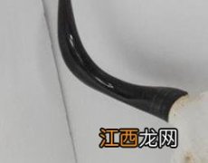 牦牛角的功效与作用