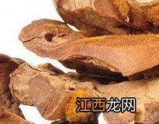 狗脊泡酒的功效与作用禁忌 狗脊泡酒的功效与作用