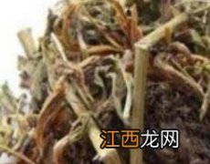 穗甘松与甘松的区别 穗甘松的功效与作用