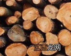 樟木泡酒的功效与作用是什么 樟木泡酒的功效与作用