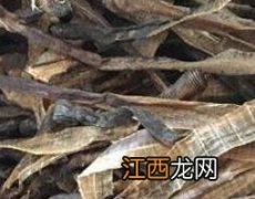 地龙的功效与作用的功能与主治 地龙的功效与作用