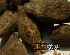 腊梅籽怎么吃 腊梅果子怎么吃