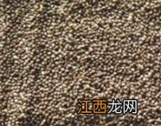 苏子籽怎样食用 苏子籽的食用方法