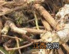 岩豆藤根的功效与作用 岩豆藤根的功效与作用图片