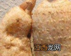 天麻泡酒的功效与作用吃法 天麻泡酒的功效与作用