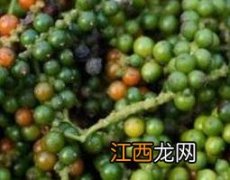 胡椒素的功效与作用