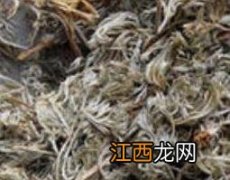 绵茵陈的功效与作用 夏枯草的功效与作用