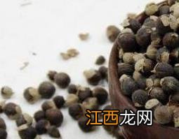 蔓荆子的功效与作用 蔓荆子的功效与作用的功能与主治