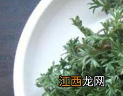 茵陈的功效与作用 茵陈的功效与作用及副作用