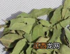 罗布麻叶的功效和作用的功效与作用 罗布麻叶的功效和作用