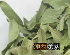 罗布麻叶泡水喝的功效它的保质期多久 罗布麻叶泡水喝的功效