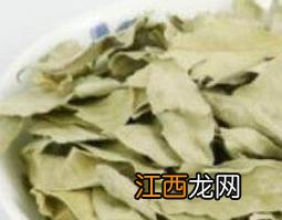 罗布麻叶能泡水喝吗怎么泡 罗布麻叶能泡水喝吗