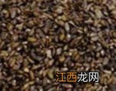 车前子壳粉的食用方法