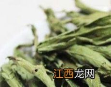 甜叶菊的功效与作用的功能与主治 甜叶菊的功效与作用