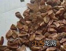 香椿种子泡水的药用价值 香椿种子泡水药用价值及型状