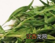 淡竹叶的功效与作用及副作用及禁忌 淡竹叶的功效与作用及副作用