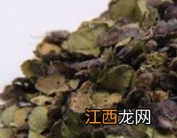 紫背浮萍的功效与作用 紫背浮萍的功效与作用与主治