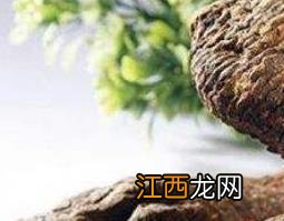 大芸的功效与作用 大芸的功效与作用图片