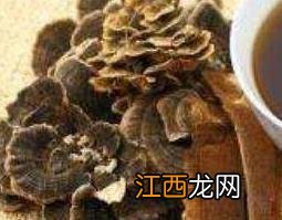 灵芝水可以天天喝吗 桑黄灵芝水可以天天喝吗