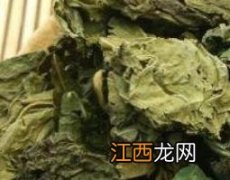 霜后的桑叶的功效 霜后桑叶的作用与功效及药用价值