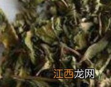 干薄荷叶的功效与作用及食用方法 干薄荷叶的功效与作用