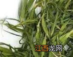 淡竹叶的功效与作用及食用方法禁忌 淡竹叶的功效与作用及食用方法