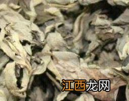 艾叶提取物的功效与作用 艾叶提取物的功效与作用图片