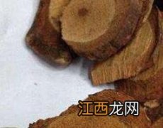 藤梨根的功效与作用及药用价值 藤梨根的功效与作用及药用价值及禁忌