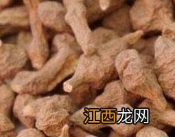 蕨麻的功效与作用 蕨麻的功效与作用及食用方法