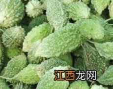 野苦瓜的功效与作用 野苦瓜的功效与作用是什么