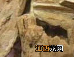 椿根皮的功效与作用图片 椿根皮的功效与作用