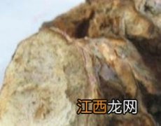 禹粮石的作用和功效 禹粮石的功效与作用及药用价值