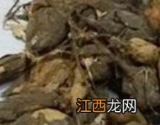 猪仔笠的药用价值 猪仔笠的功效与作用