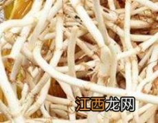 鱼腥草的功效与作用 鱼腥草的功效与作用主要治什么病