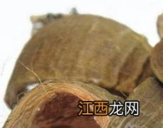 大腹皮的功效与作用及药用价值 大腹皮的功效与作用及药用价值