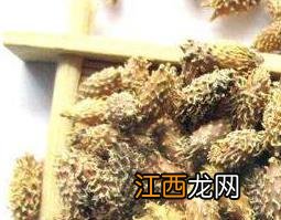 苍耳煮水有什么功效怎L用 苍耳煮水有什么功效