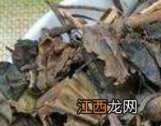 九节茶的药用功效 九节茶根的功效与作用