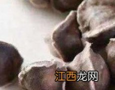 辣木籽的功效与作用 辣木籽的功效与作用及食用方法几多钱一斤