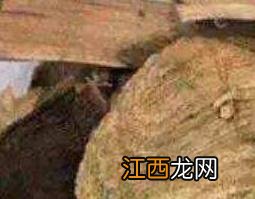 制川乌的功效与作用及药用价值 制川乌的功效和作用