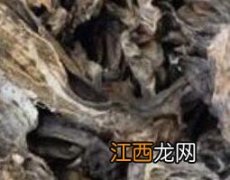 干蟾的功效与作用及药用价值图片 干蟾的功效与作用及药用价值