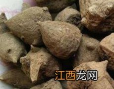 生草乌的功效与作用的功能与主治 生草乌的功效与作用