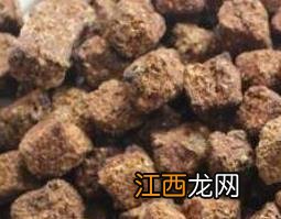 神曲的药用价值和功效 神曲的功效与作用及药用价值