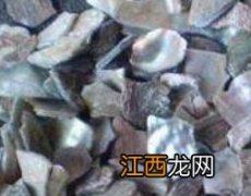 石决明的作用和功效与作用 石决明的功效与作用及药用价值