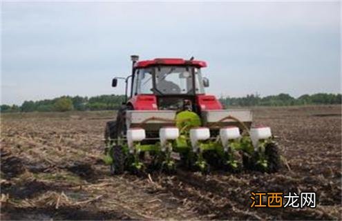 玉米免耕播种有什么优点 玉米免耕播种与普通播种