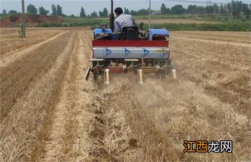 玉米免耕播种有什么优点 玉米免耕播种与普通播种