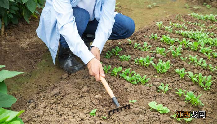 三黑和土地主要讲了什么事 三黑和土地主要讲了什么