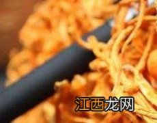 金虫草的功效与作用是什么 金虫草的功效与作用