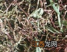 山蜜草的功效与作用图片 山蜜草的功效与作用