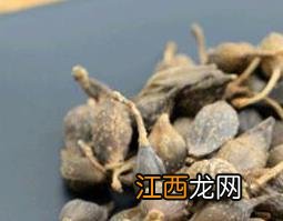 青连翘的功效与作用及药用价值 青连翘的功效与作用及药用价值